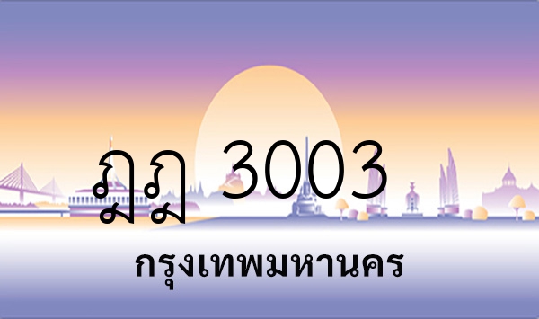 ฎฎ 3003